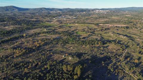 Excelente terreno com 76840m2 situado em Aldeia das Águas, Penamacor.