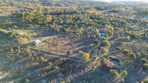 Excelente terreno com 76840m2 situado em Aldeia das Águas, Penamacor.