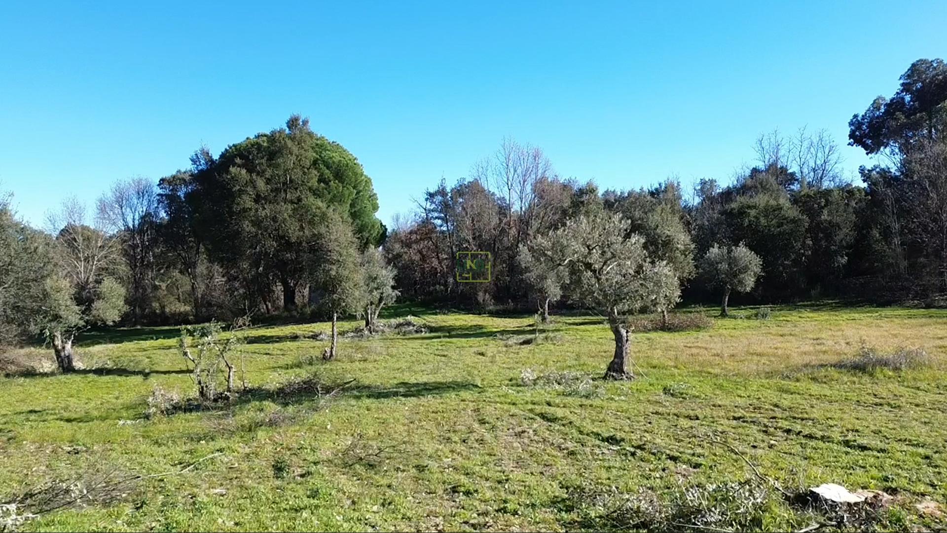 Terreno Rústico com 9400m2 sito em Águas, Penamacor.