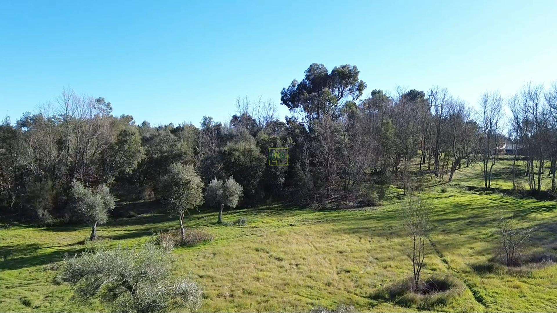 Terreno Rústico com 9400m2 sito em Águas, Penamacor.
