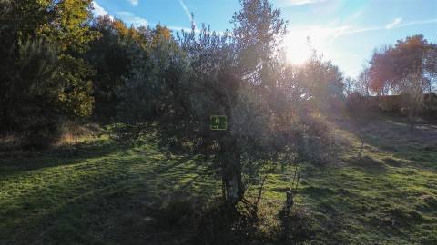 Terreno Rústico com 9400m2 sito em Águas, Penamacor.