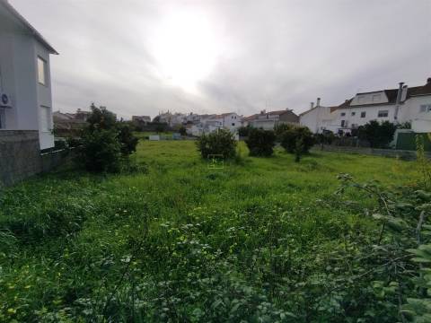 Terreno à venda na Boa Esperança, Castelo Branco 372 m²