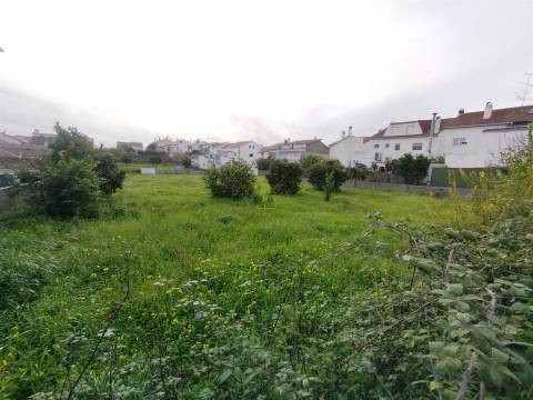 Terreno à venda na Boa Esperança, Castelo Branco 372 m²