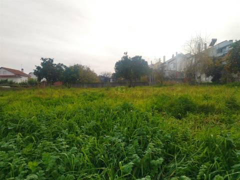 Terreno à venda na Boa Esperança, Castelo Branco 272 m²
