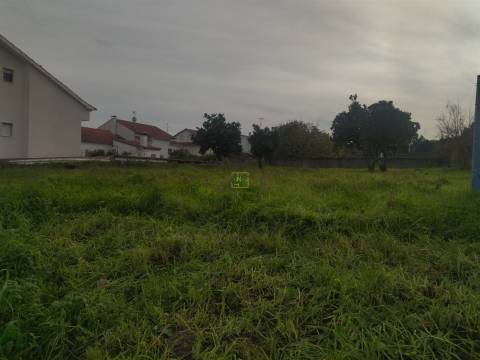 Terreno à venda na Boa Esperança, Castelo Branco 272 m²