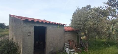 Terreno rústico em Pedrógão de S. Pedro