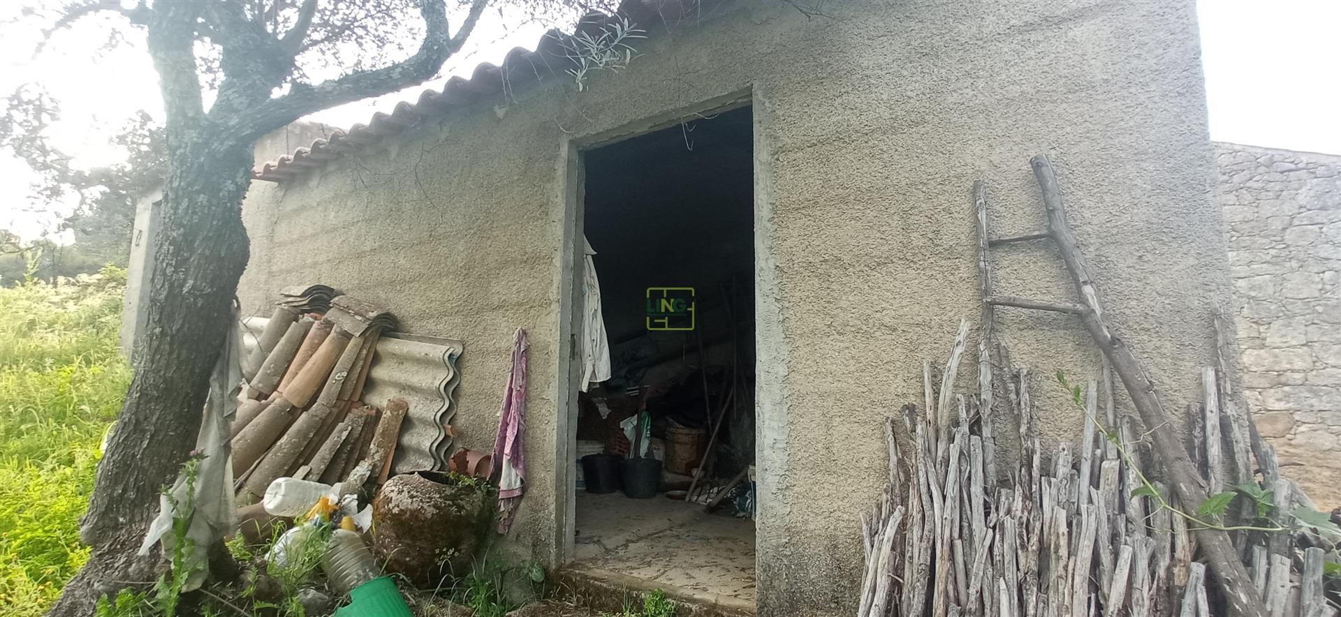 Terreno rústico em Pedrógão de S. Pedro