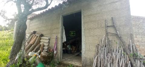 Terreno rústico em Pedrógão de S. Pedro