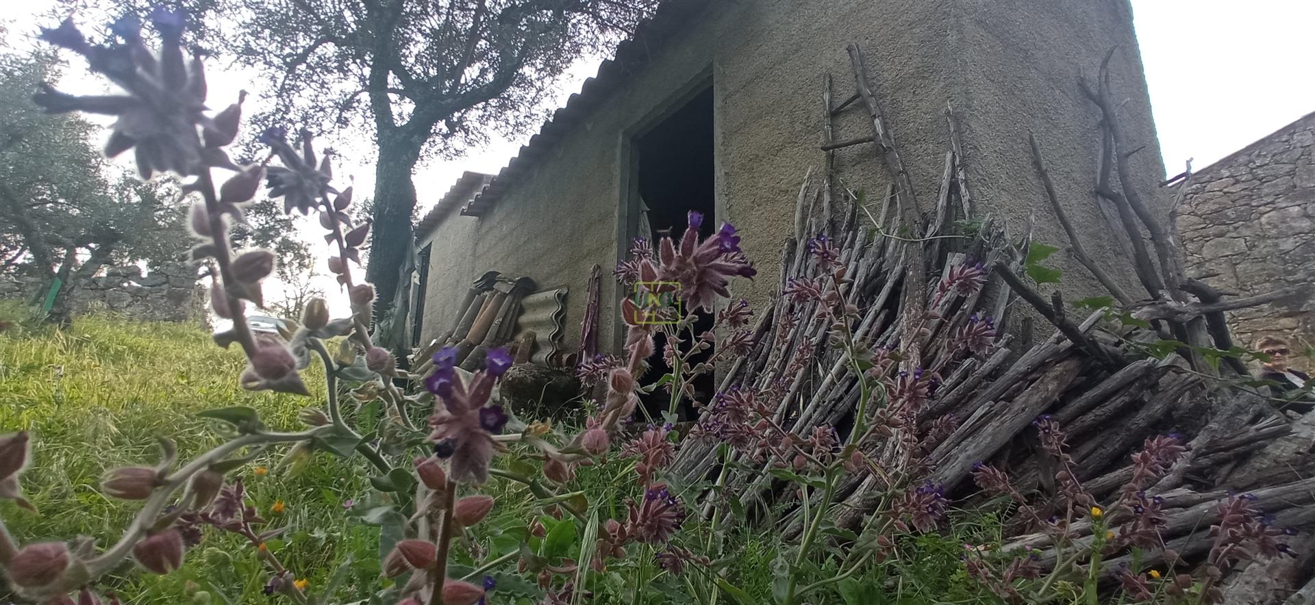 Terreno rústico em Pedrógão de S. Pedro