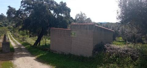 Terreno rústico em Pedrógão de S. Pedro