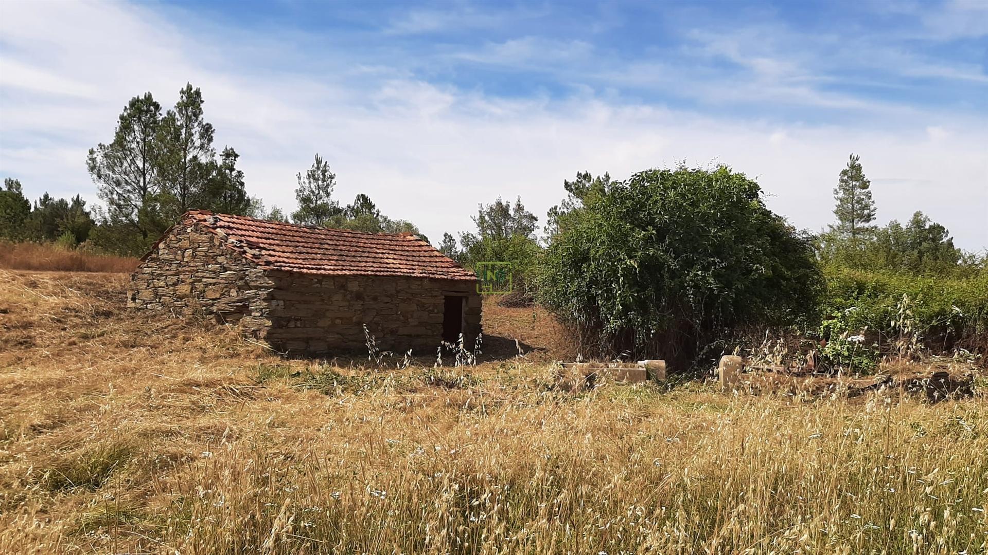 Quinta com  13.443m2