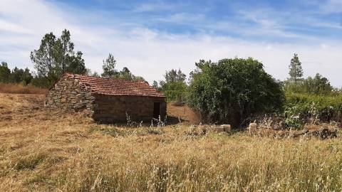 Quinta com  13.443m2