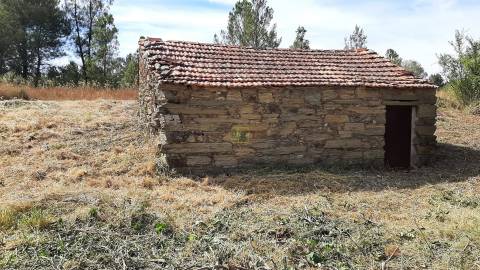 Quinta com  13.443m2