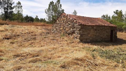 Quinta com  13.443m2