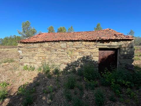 Quinta com  13.443m2