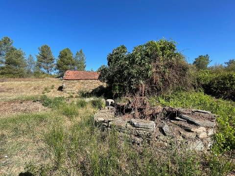 Quinta com  13.443m2