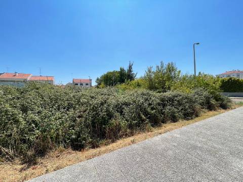 Lote de Terreno  Venda em Castelo Branco,Castelo Branco