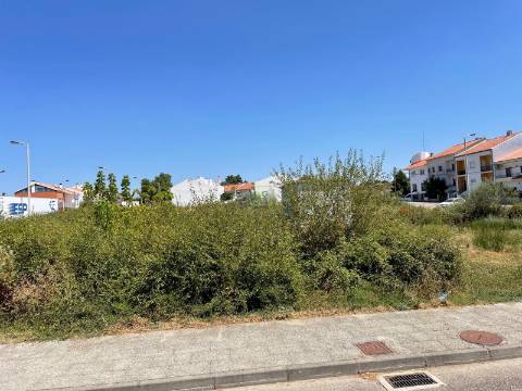 Lote de Terreno  Venda em Castelo Branco,Castelo Branco