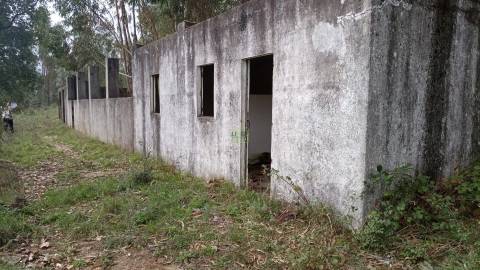 Terreno Rústico  Venda em Cebolais de Cima e Retaxo,Castelo Branco