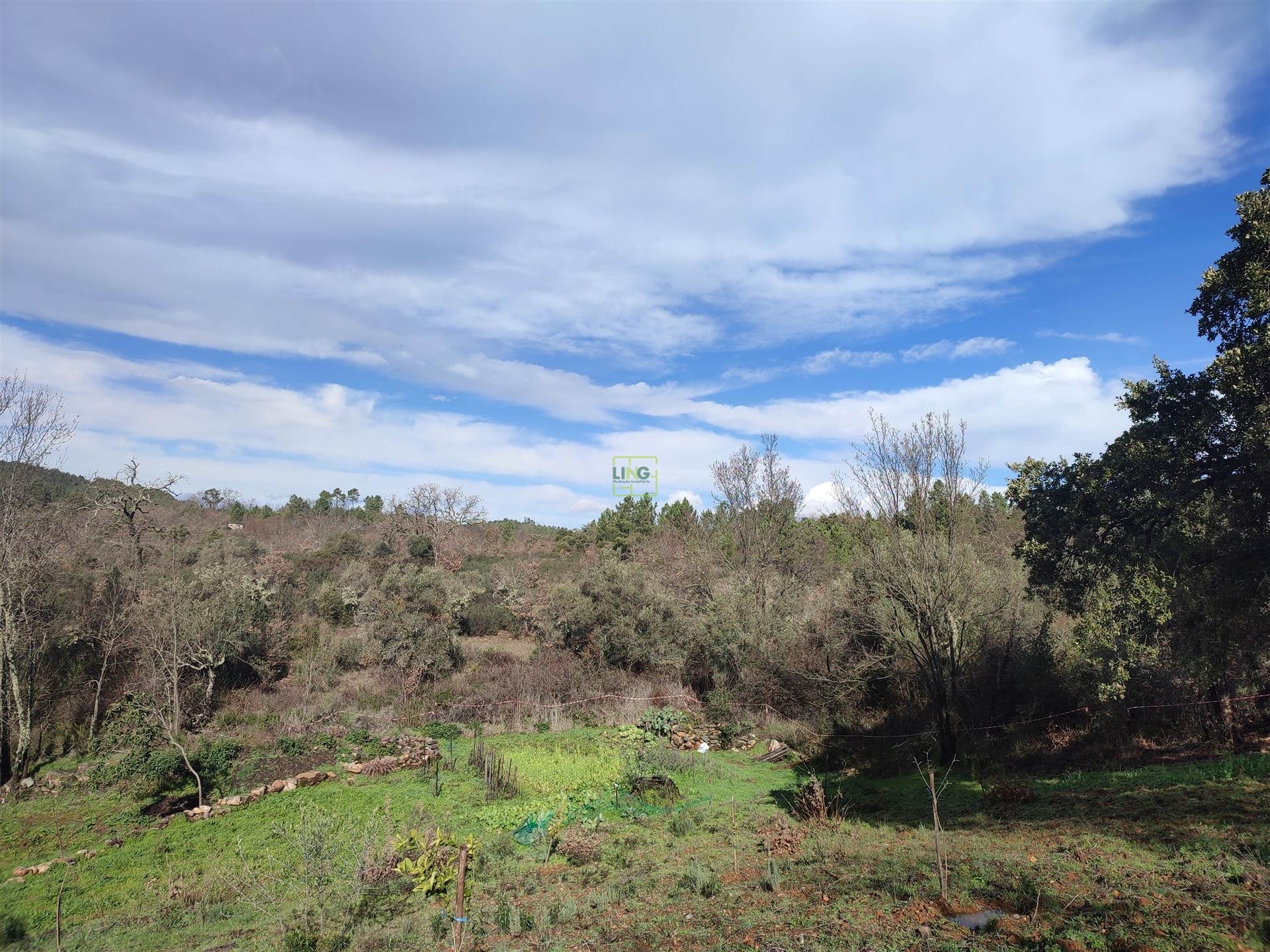 Terreno para horta em Monsanto