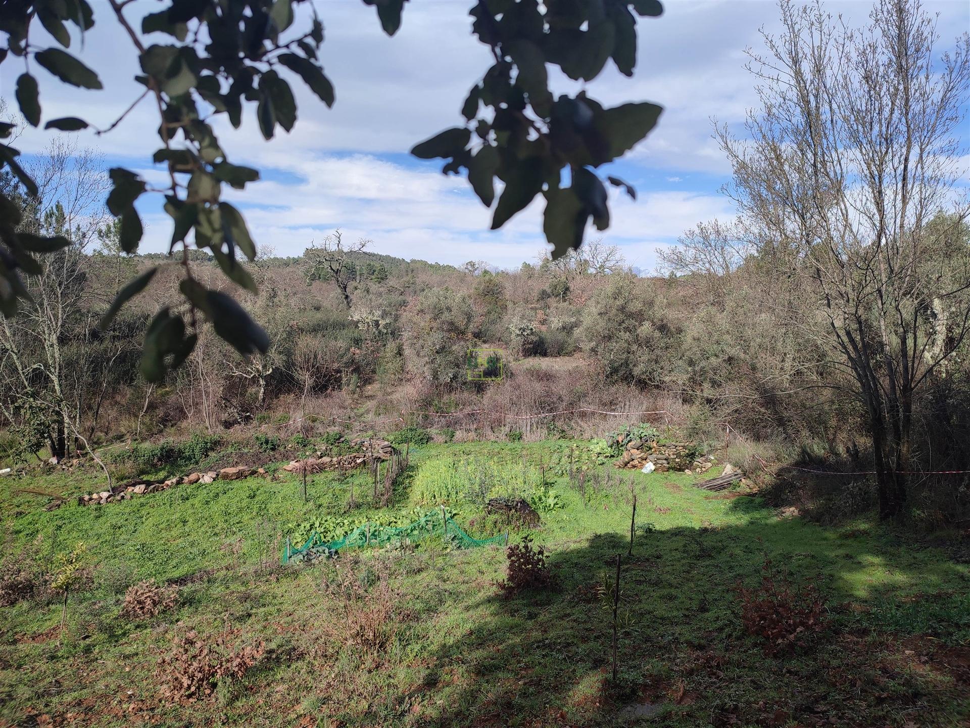 Terreno para horta em Monsanto