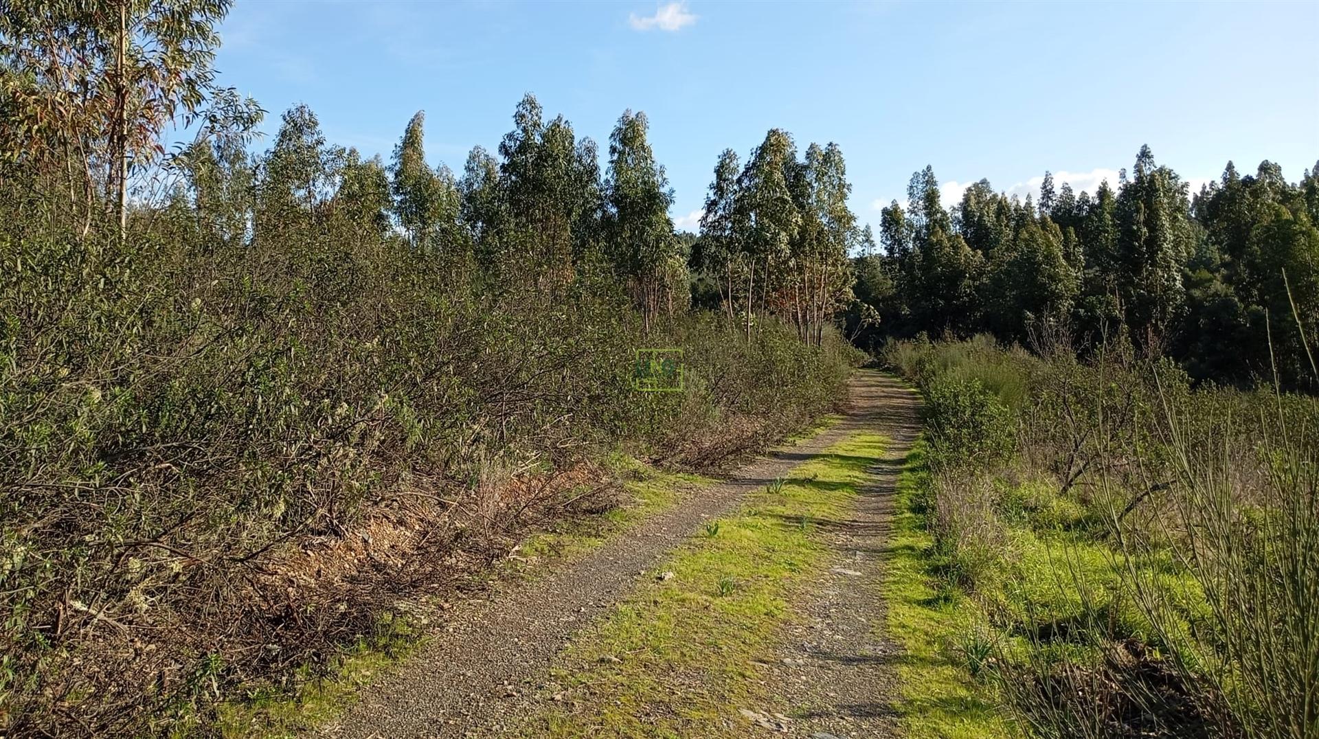 Quinta com contrução rural no Fratel!