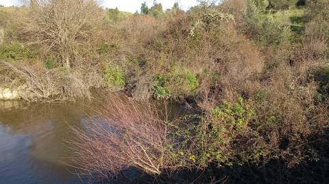 Quinta com contrução rural no Fratel!
