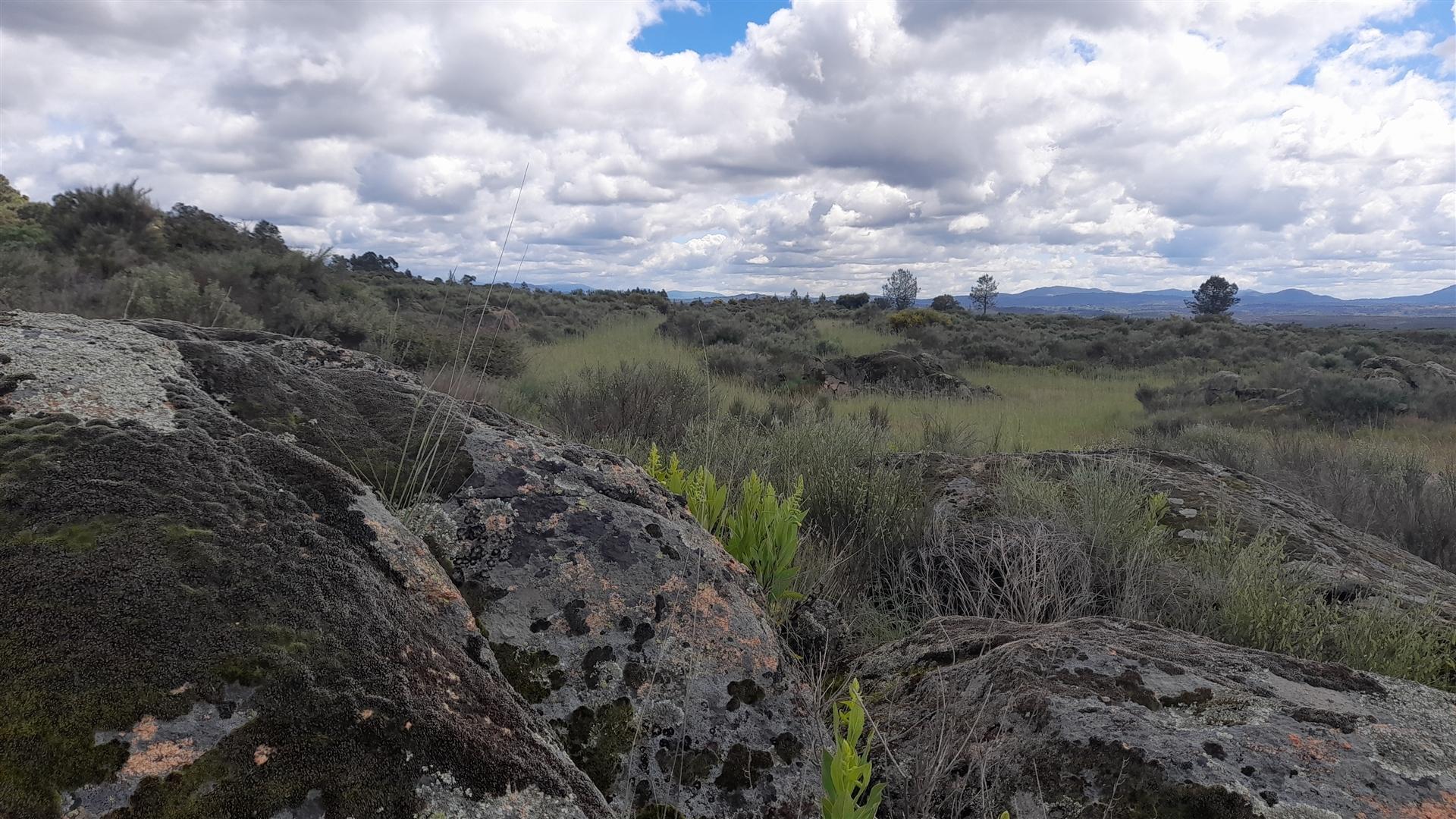 Quinta com 29,04Ha em Mata da Rainha, Fundão - Portugal