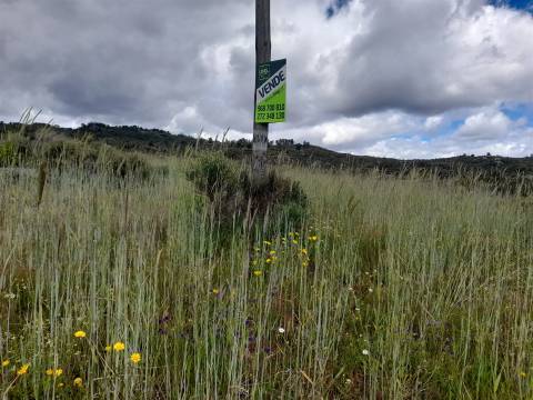 Quinta com 29,04Ha em Mata da Rainha, Fundão - Portugal