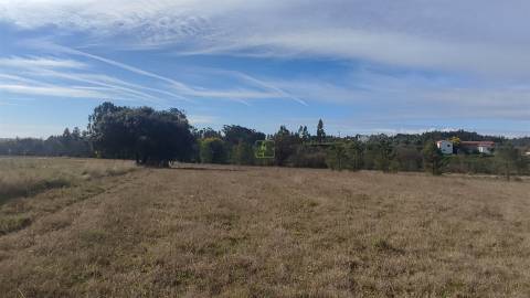 Quinta 1.25 ha Penamacor