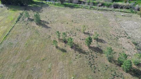 Quinta 1.25 ha Penamacor