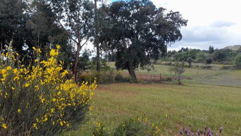 Quinta  com 2,14Ha em Quintas da Torre, Fundão - Portugal