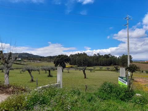 Quinta  com 2,14Ha em Quintas da Torre, Fundão - Portugal