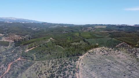 Herdade - Construção Rural 84m2 - Florestal - 93ha - Ninho do Açor