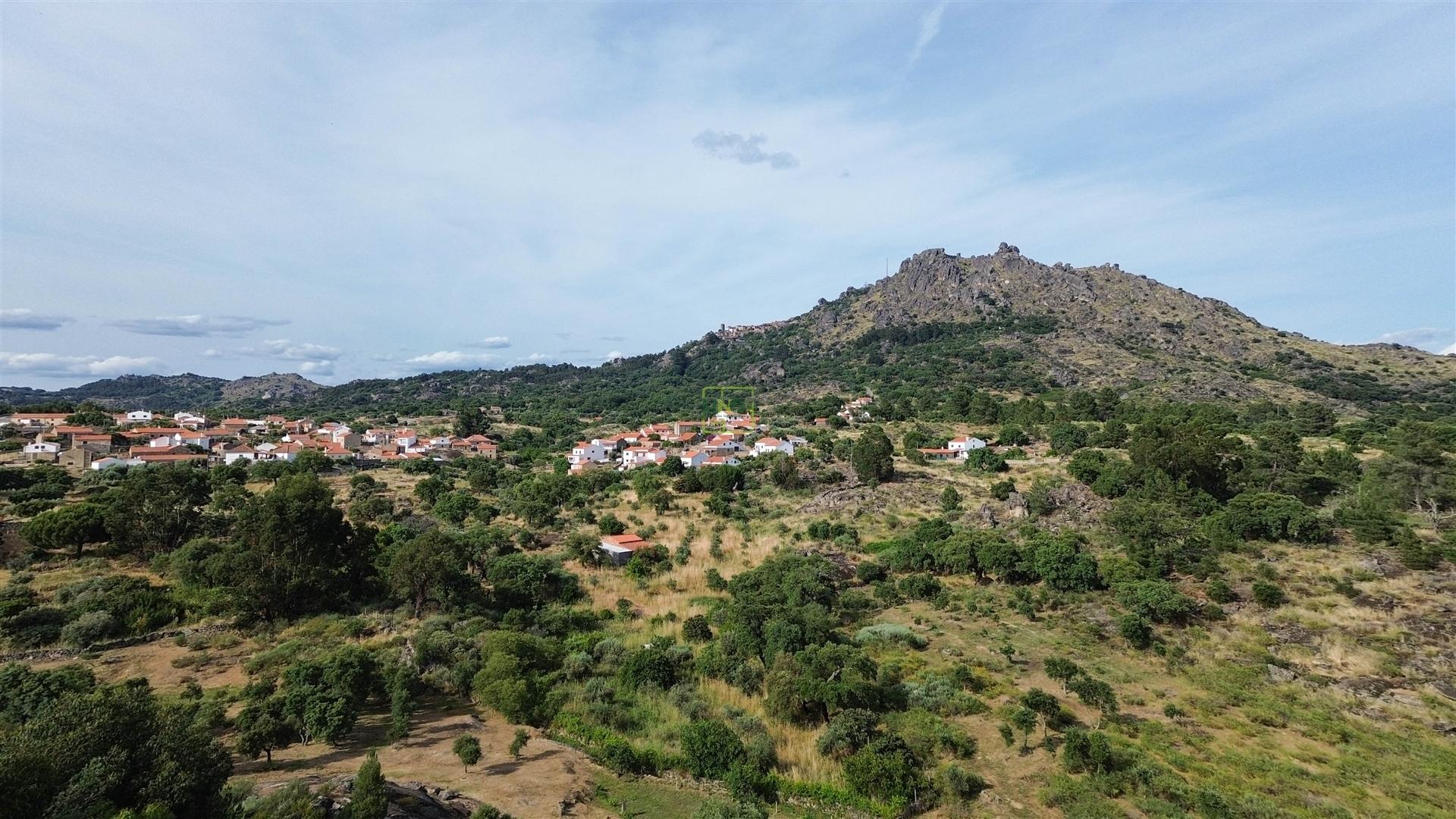 Terreno Rústico  Venda em Monsanto e Idanha-a-Velha,Idanha-a-Nova