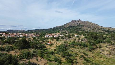 Terreno Rústico  Venda em Monsanto e Idanha-a-Velha,Idanha-a-Nova