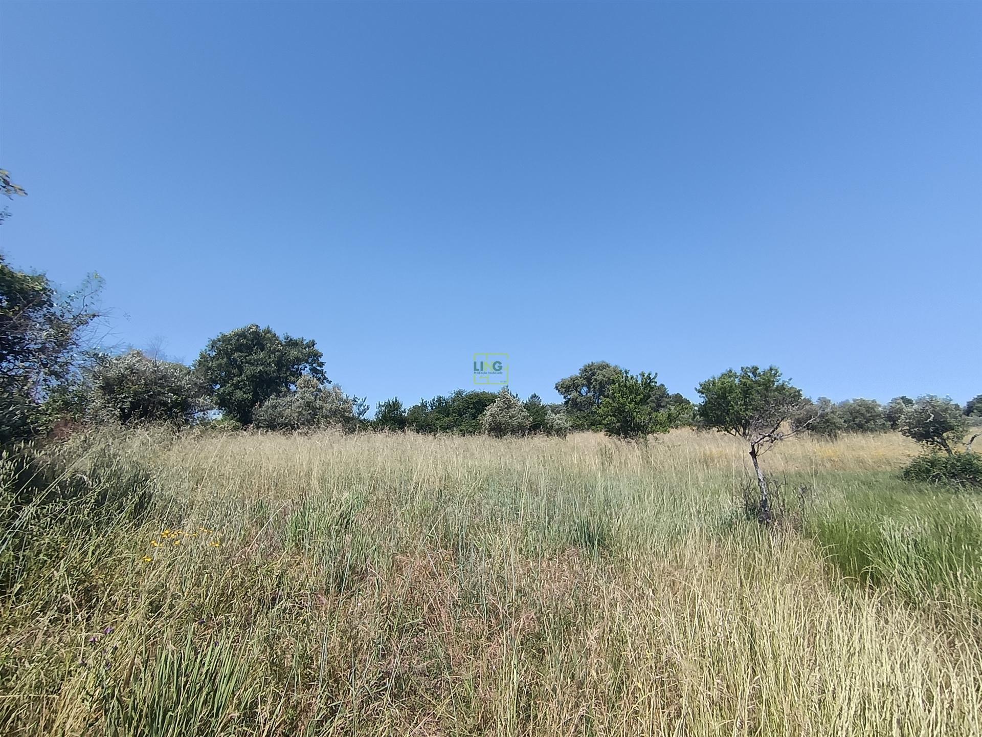 Terreno rural em Penamacor