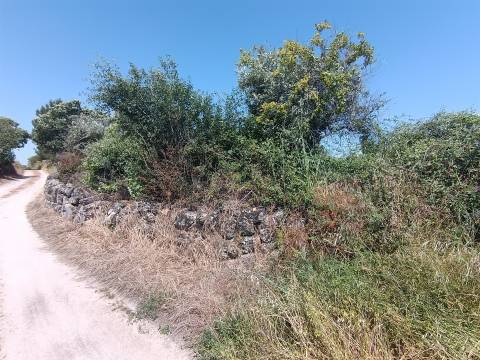 Terreno rural em Penamacor