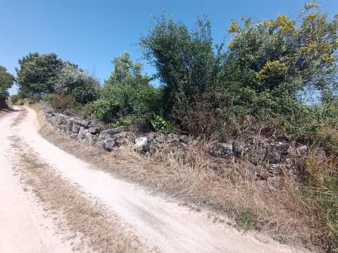Terreno rural em Penamacor