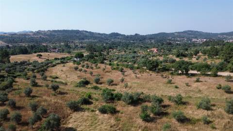 Terreno rural em Penamacor