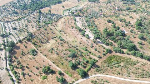 Terreno rural em Penamacor