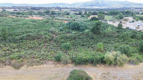 Quinta com 46.000 m² – Água abundante, localização privilegiada e enorme potencial!
