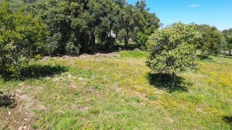 Terreno Rústico para venda com cerca de 7 500 metros na aldeia de Alvaiade, Vila Velha de Ródão