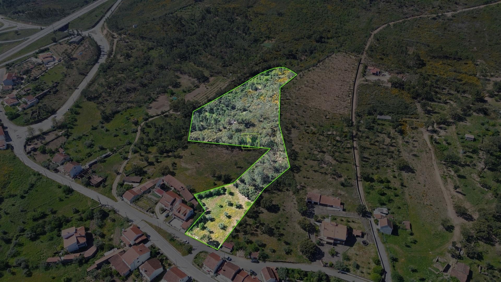 Terreno Rústico para venda com cerca de 7 500 metros na aldeia de Alvaiade, Vila Velha de Ródão