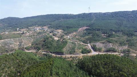 Terreno Rústico  Venda em Fratel,Vila Velha de Ródão