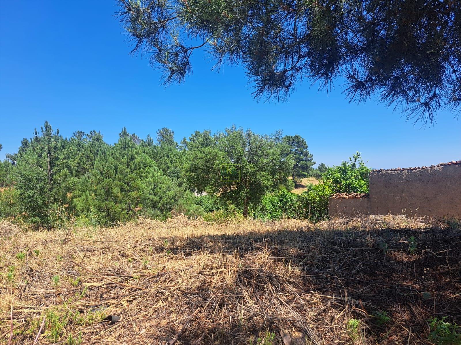 TERRENO URBANO NO SOBRAL DO CAMPO – VIVER COM QUALIDADE A CERCA DE 20 MINUTOS DE CASTELO BRANCO!