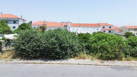 Lote de Terreno  Venda em Castelo Branco,Castelo Branco