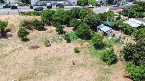 Lote de Terreno  Venda em Castelo Branco,Castelo Branco