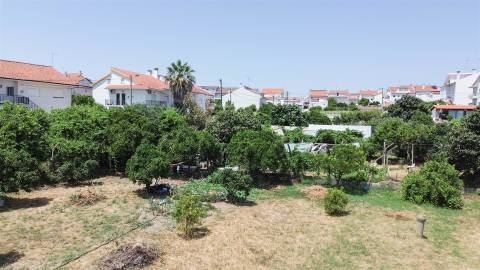 Lote de Terreno  Venda em Castelo Branco,Castelo Branco
