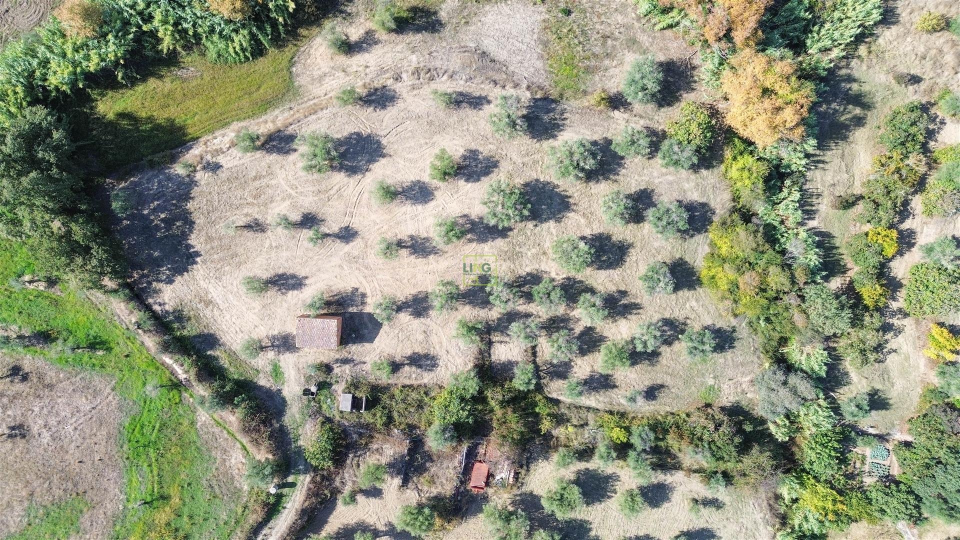 Terreno Rústico  Venda em Ladoeiro,Idanha-a-Nova